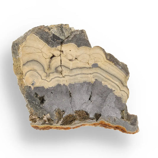 Get your Investment Quality Olkusz Schalenblende: Polished Banded Zn-Pb-Fe Sulfide from a Classic Locality online now or in store at Forever Gems in Franschhoek, South Africa