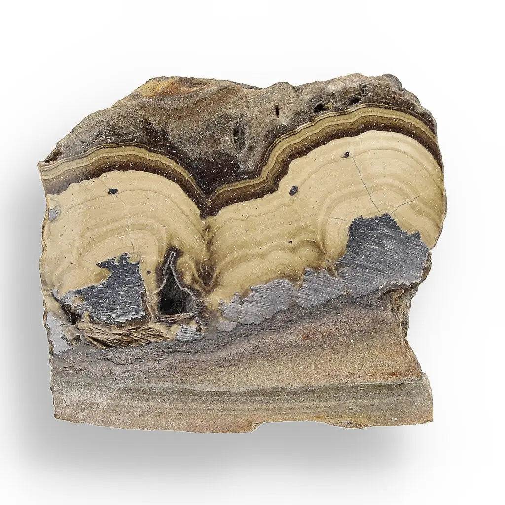 Get your Visually Captivating Olkusz Schalenblende: Polished Slice Revealing Sulfide Gel Formation online now or in store at Forever Gems in Franschhoek, South Africa