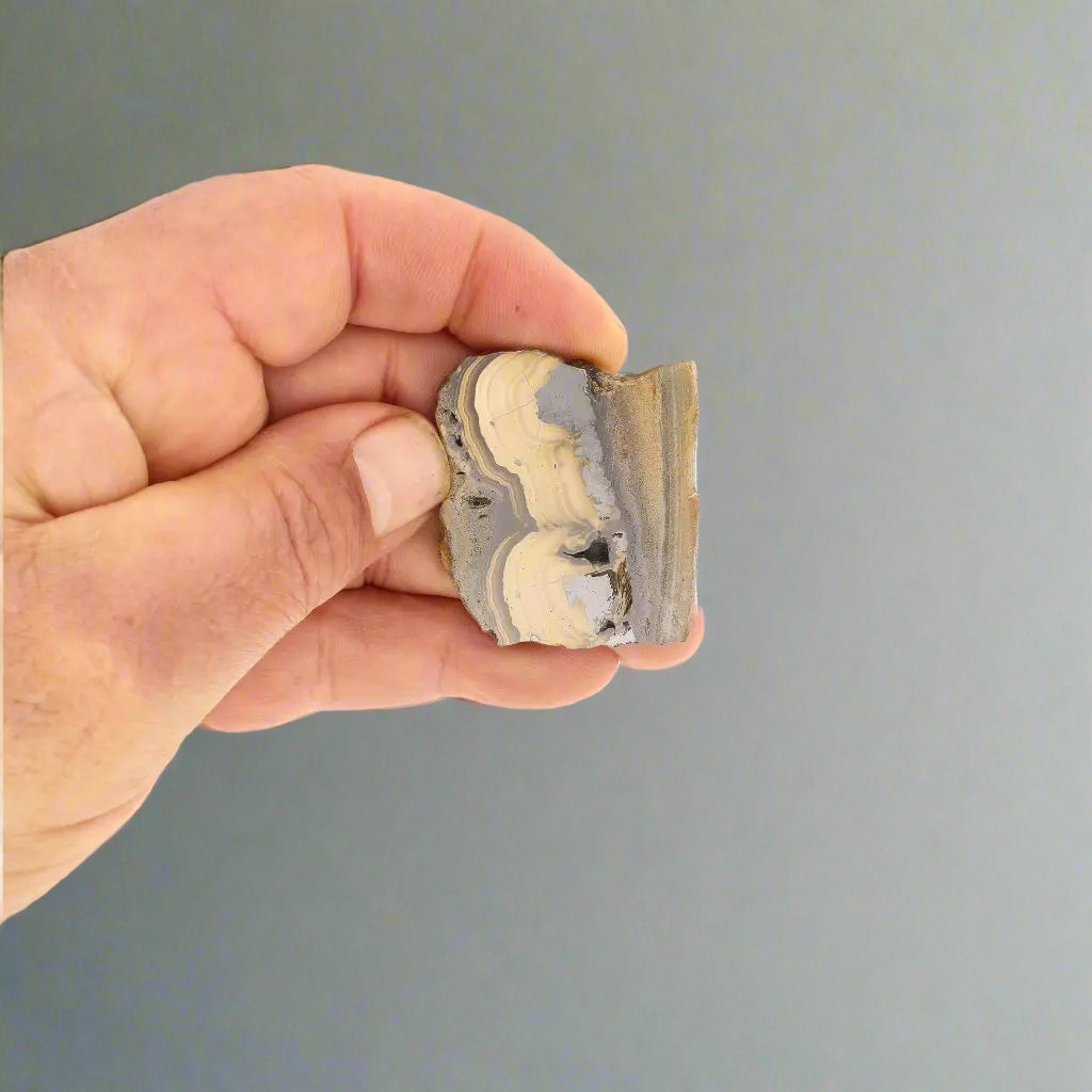 Get your Visually Captivating Olkusz Schalenblende: Polished Slice Revealing Sulfide Gel Formation online now or in store at Forever Gems in Franschhoek, South Africa