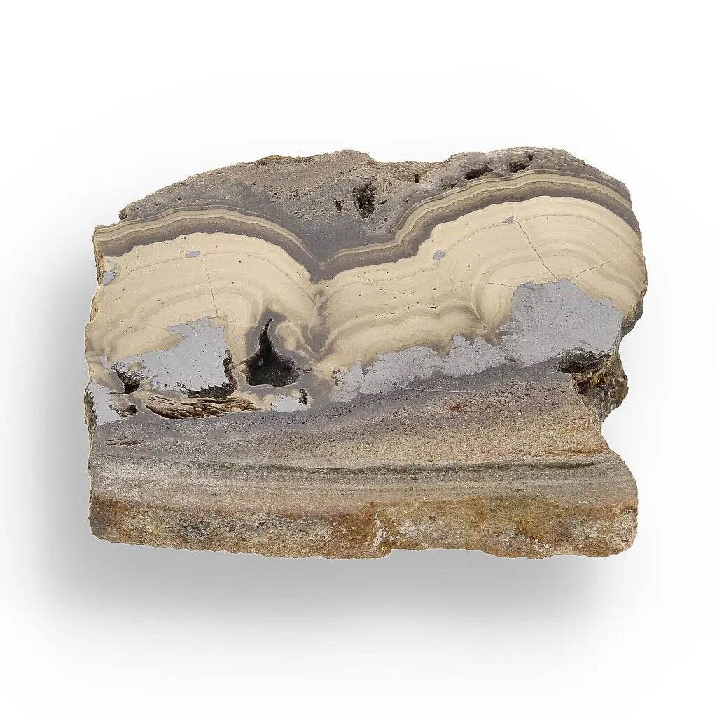 Get your Visually Captivating Olkusz Schalenblende: Polished Slice Revealing Sulfide Gel Formation online now or in store at Forever Gems in Franschhoek, South Africa