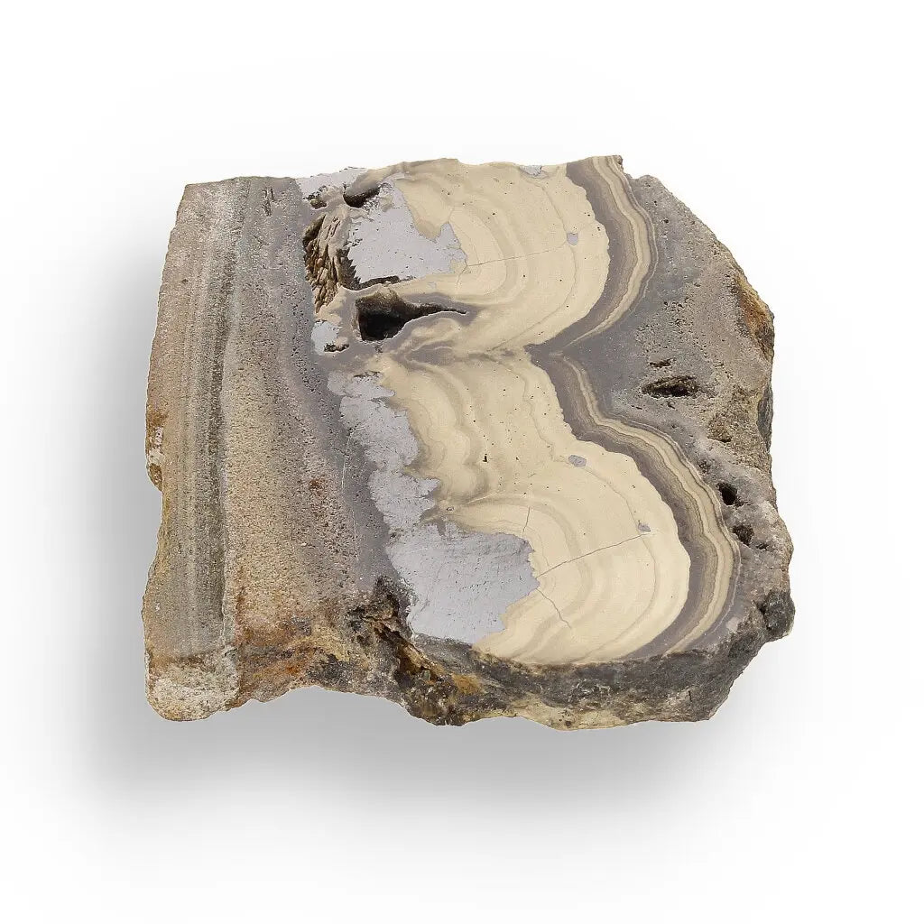 Get your Visually Captivating Olkusz Schalenblende: Polished Slice Revealing Sulfide Gel Formation online now or in store at Forever Gems in Franschhoek, South Africa