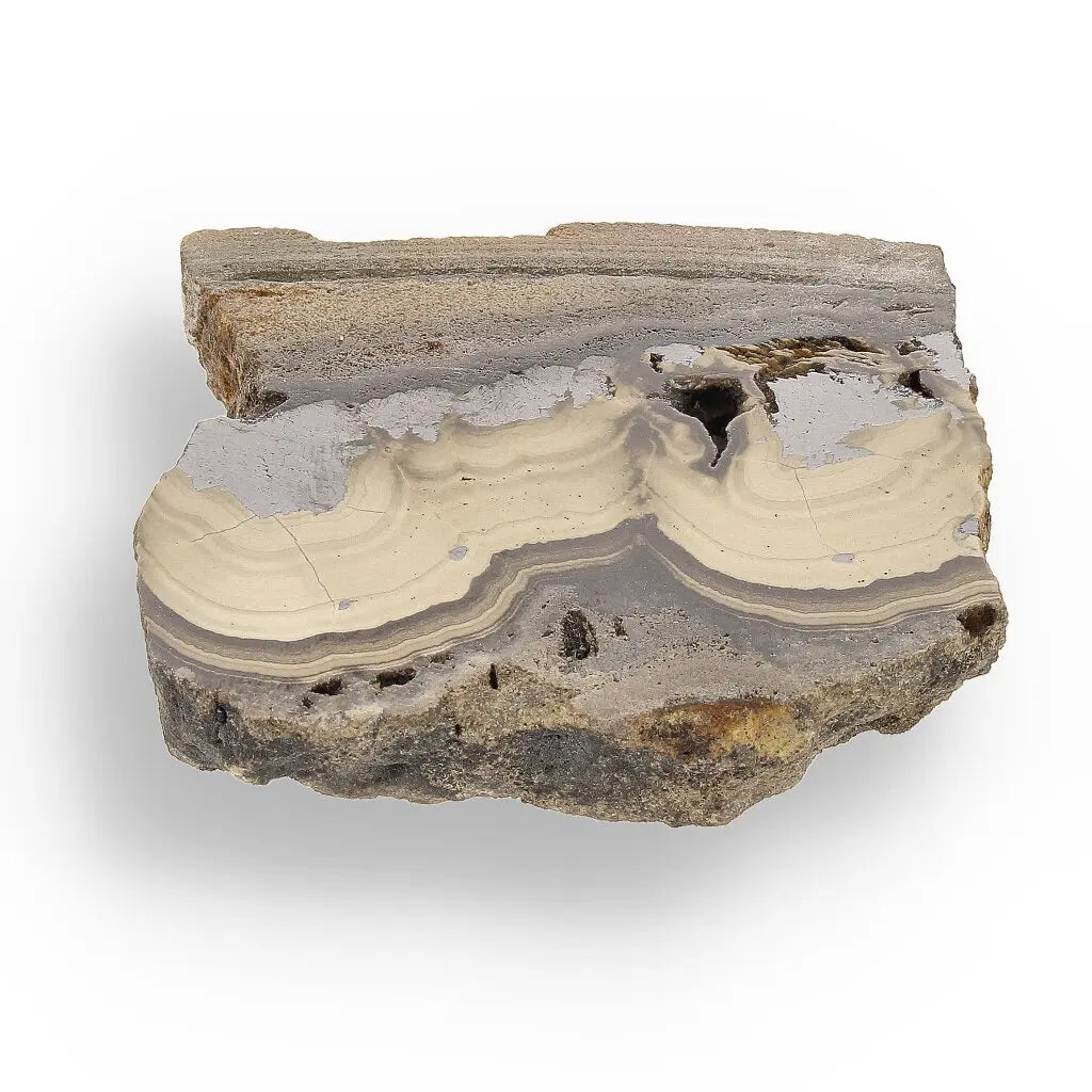 Get your Visually Captivating Olkusz Schalenblende: Polished Slice Revealing Sulfide Gel Formation online now or in store at Forever Gems in Franschhoek, South Africa