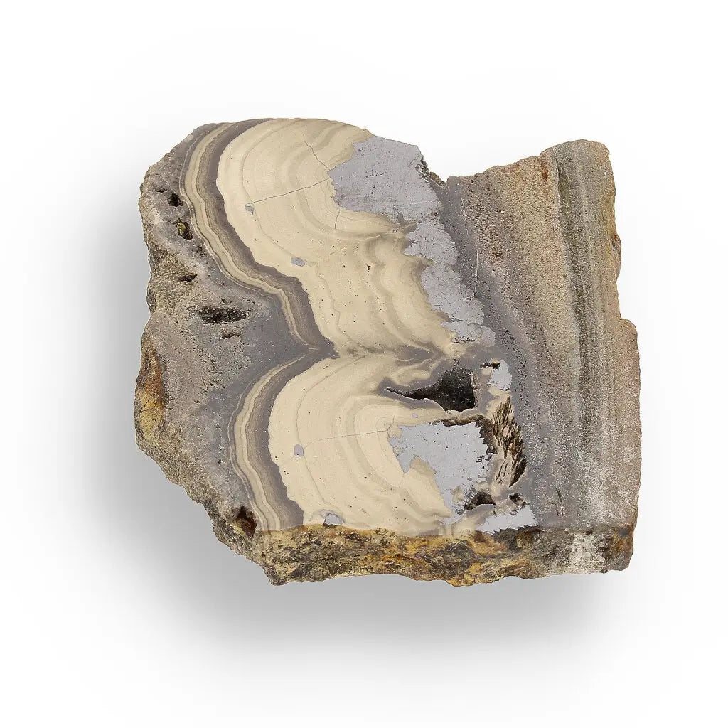 Get your Visually Captivating Olkusz Schalenblende: Polished Slice Revealing Sulfide Gel Formation online now or in store at Forever Gems in Franschhoek, South Africa