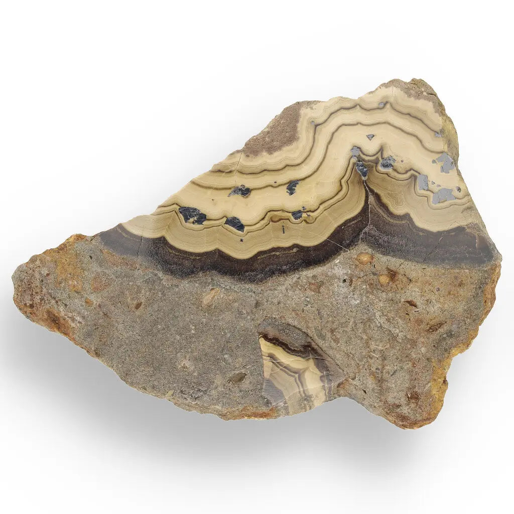 Get your Olkusz Schalenblende Display Piece: Beautifully Banded Sphalerite, Galena & Marcasite from Southern Poland online now or in store at Forever Gems in Franschhoek, South Africa