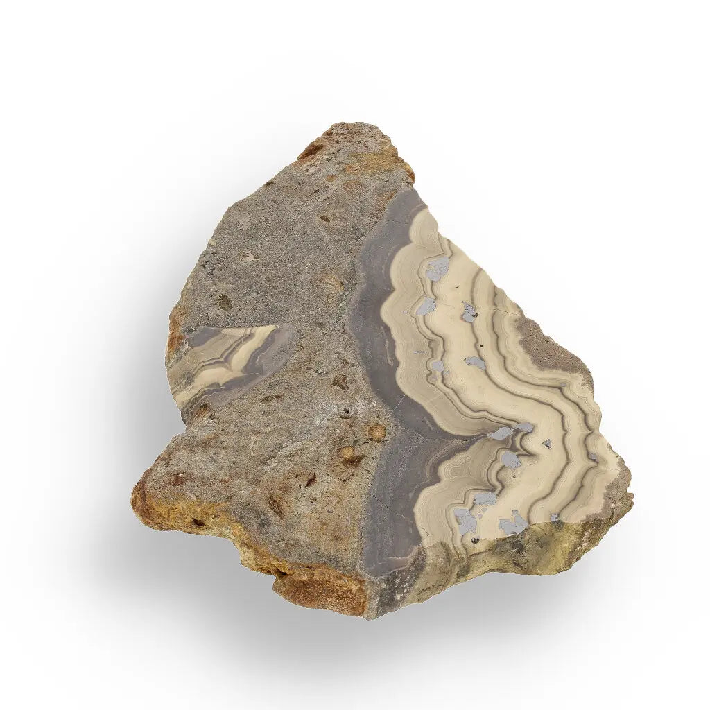 Get your Olkusz Schalenblende Display Piece: Beautifully Banded Sphalerite, Galena & Marcasite from Southern Poland online now or in store at Forever Gems in Franschhoek, South Africa