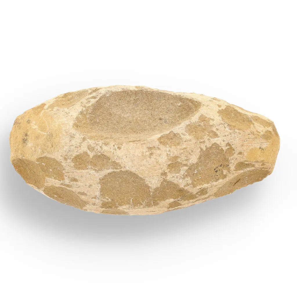 Get your Brazilian Limestone Fish Fossil - Small Santana Formation Cretaceous Marine Collectible online now or in store at Forever Gems in Franschhoek, South Africa