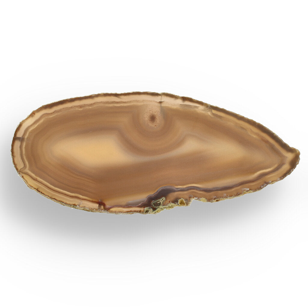 Get your Natural Brown Agate Slice – Slice of Earthy Wonder online now or in store at Forever Gems in Franschhoek, South Africa