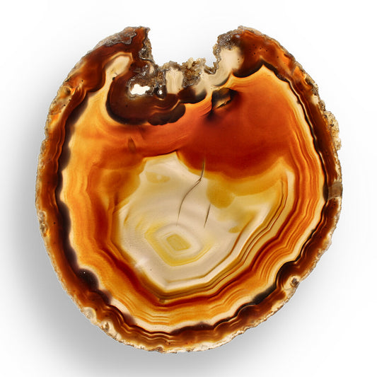 Get your Natural Brown Agate Slice – Nature’s Coffee-Coloured Gem online now or in store at Forever Gems in Franschhoek, South Africa