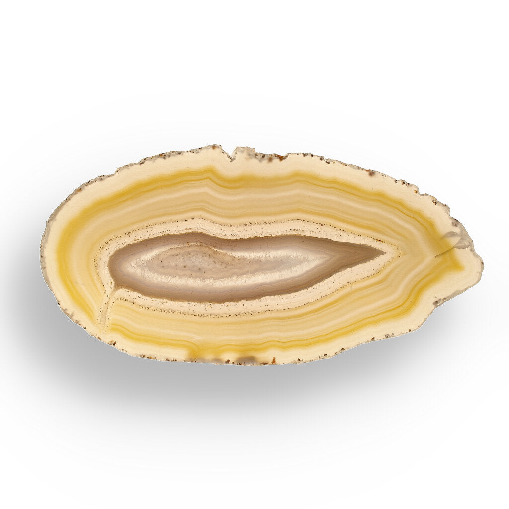 Get your Natural Brown Agate Slice – Warm Tones, Timeless Stone online now or in store at Forever Gems in Franschhoek, South Africa