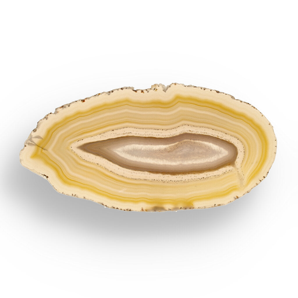 Get your Natural Brown Agate Slice – Warm Tones, Timeless Stone online now or in store at Forever Gems in Franschhoek, South Africa