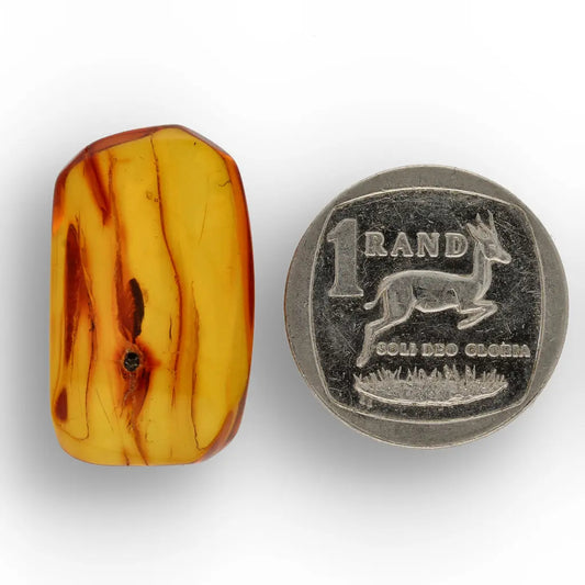 Get your Natural Baltic Amber Fossil with Trapped Insect Inclusion online now or in store at Forever Gems in Franschhoek, South Africa