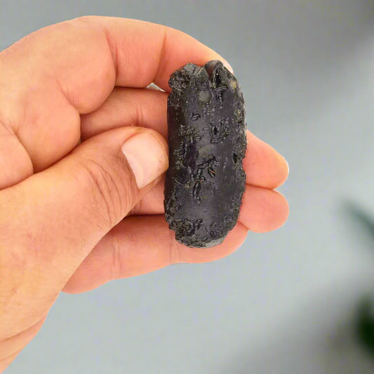 Get your Indochinite Tektite - The Rock That Flew to Space and Back online now or in store at Forever Gems in Franschhoek, South Africa