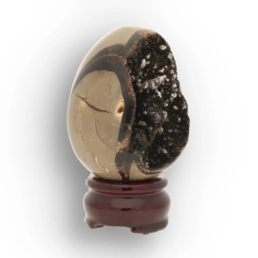 Get your Ancient Septarian Dragon Egg – Natural Crystal from Prehistoric Seas online now or in store at Forever Gems in Franschhoek, South Africa