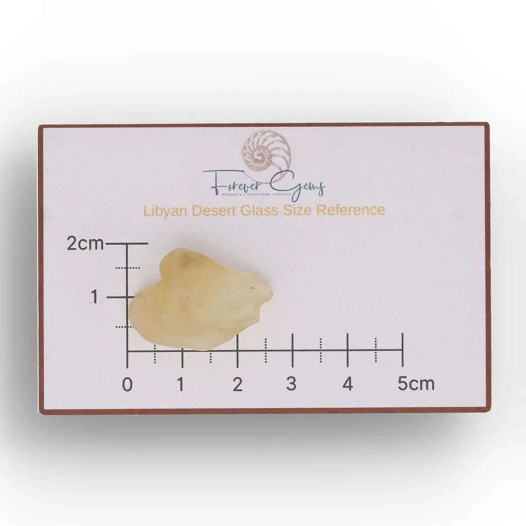 4.8g Natural Libyan Desert Glass Collector's Specimen