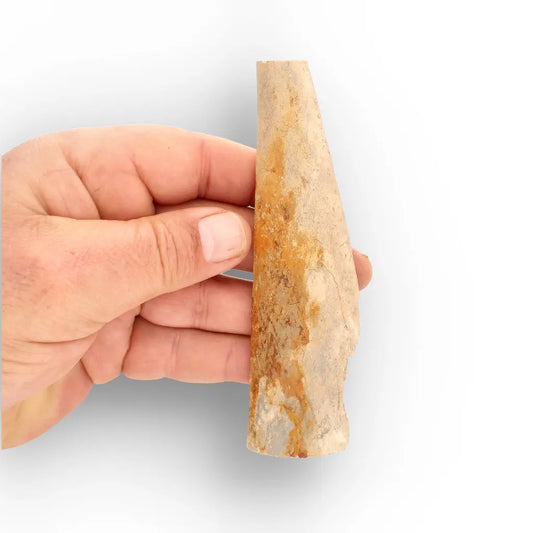 Get your Woolly Mammoth Tusk Fossil Fragment from Alaska USA online now or in store at Forever Gems in Franschhoek, South Africa