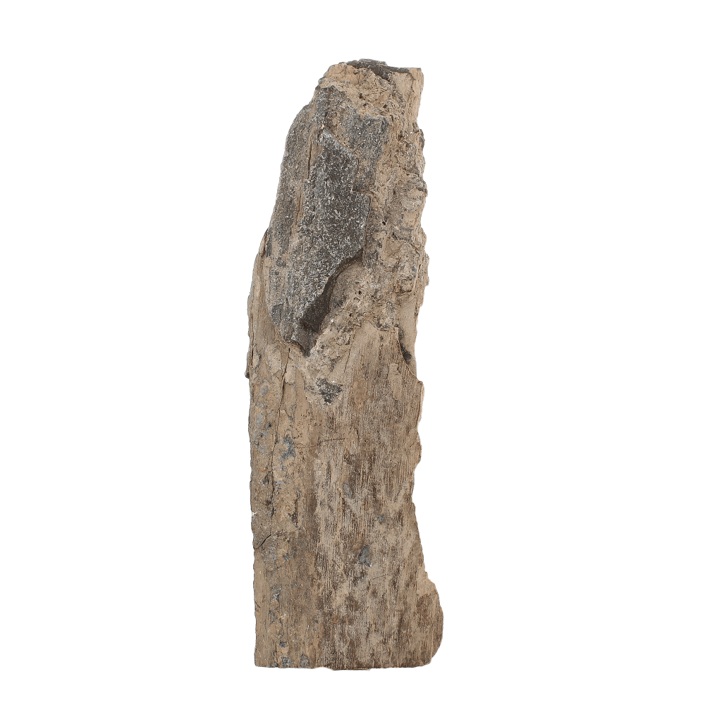 Woolly Mammoth Tusk Fossil Fragment from Alaska USA Specimen
