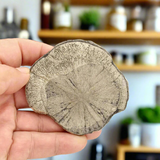 Get your Pyrite Sun: Unique Ancient Crystal Disks online now or in store at Forever Gems in Franschhoek, South Africa