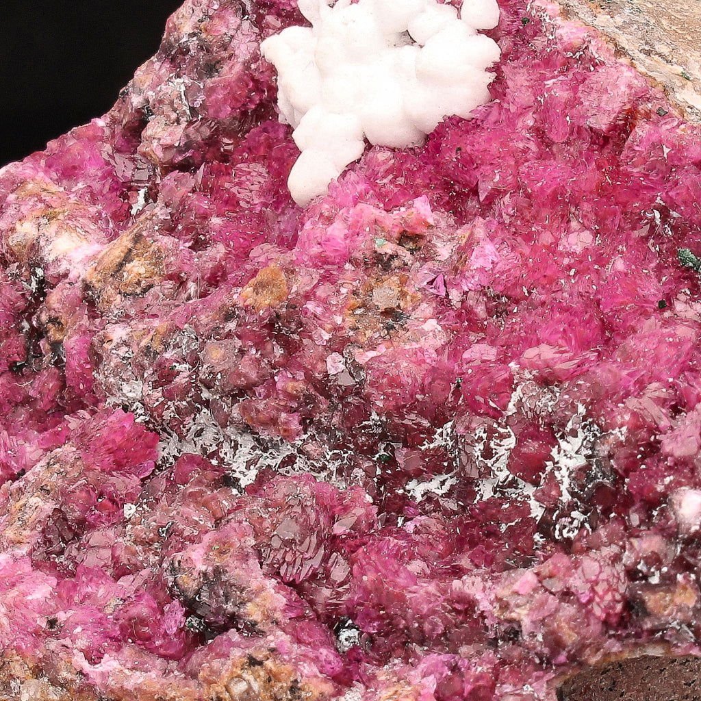 Get your Cobaltoan Calcite on Matrix Specimen online now or in store at Forever Gems in Franschhoek, South Africa