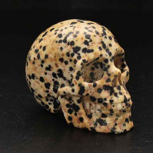 Get your Earthy Dalamtian Jasper Crystal Skull online now or in store at Forever Gems in Franschhoek, South Africa