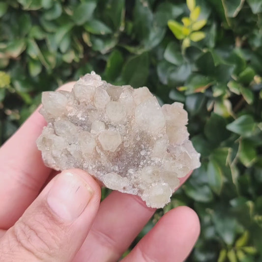 Prasiolite on Amethyst Cluster from Riemvasmaak: South African Splendor