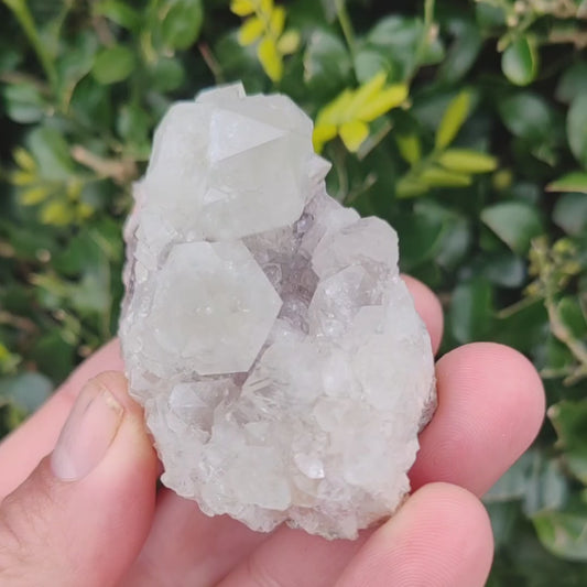 Prasiolite on Amethyst Crystal: Riemvasmaak's Radiant Duo