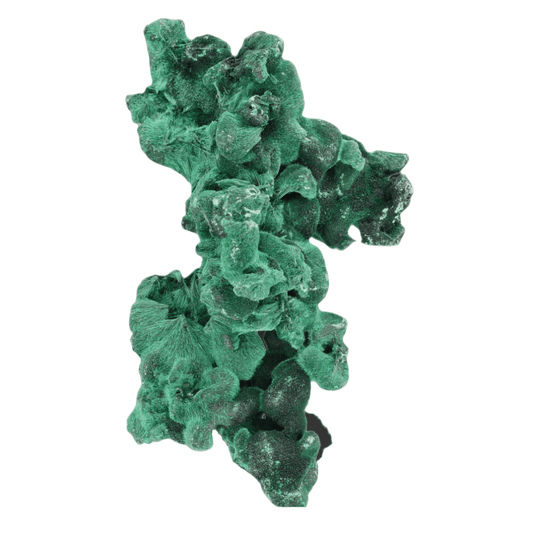 Get your Silky Fibrous Malachite (Miringi Mine) online now or in store at Forever Gems in Franschhoek, South Africa