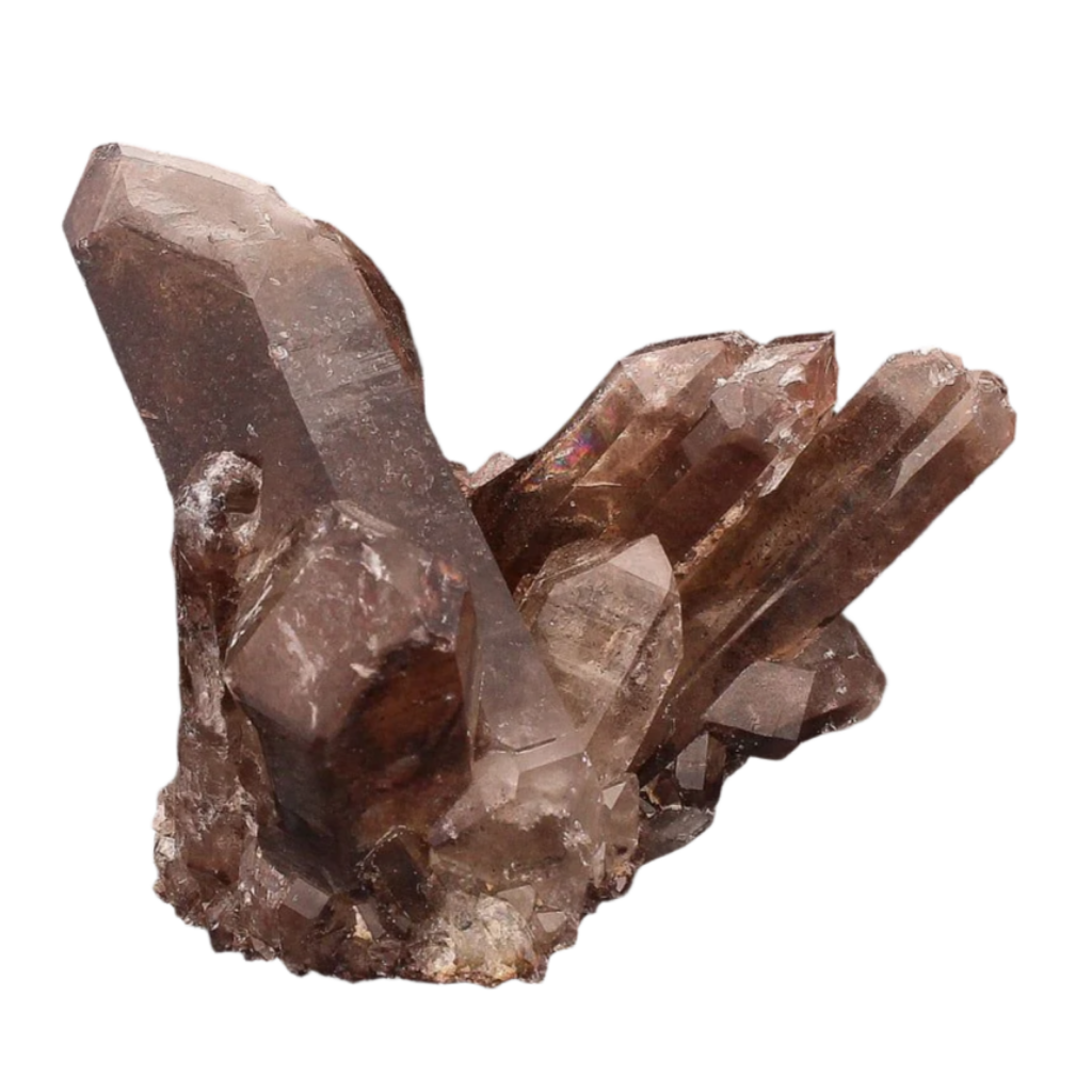 Dark Brown Smoky Quartz Cluster Ultimate Grounding Stone