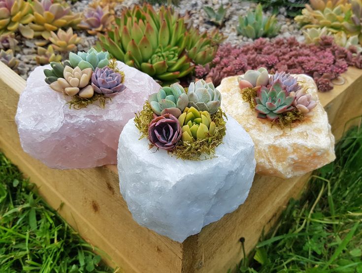 The Best Way to Use Crystals in Your Garden