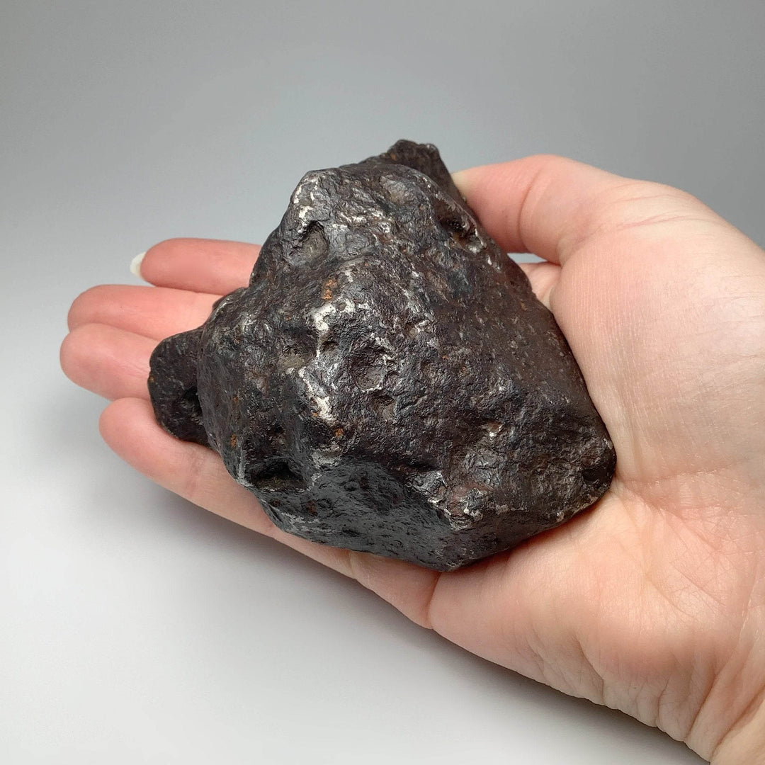 Campo del Cielo Meteorite: The Iron Giants That Fell From the Sky