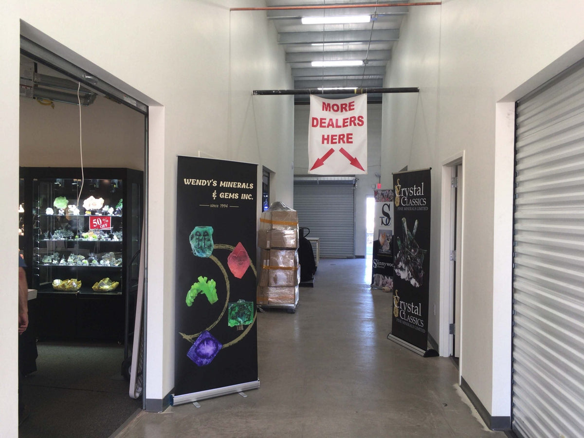 Fish Fossils, Meteorites & Marathon Show Days — Tucson 2026