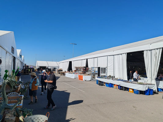🌵 Tucson Mineral Show 2026 — The Adventure Begins
