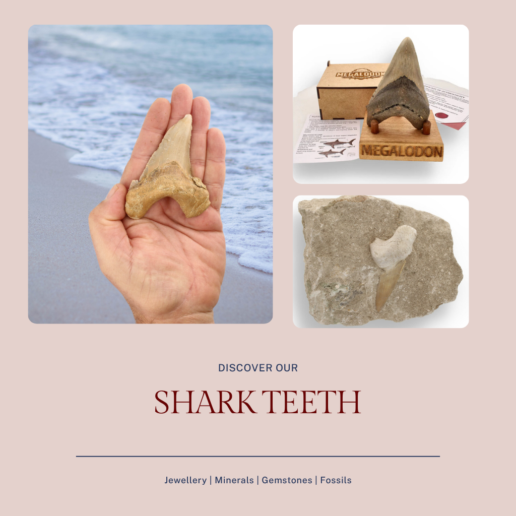 Shark Teeth - ForeverGems_SA