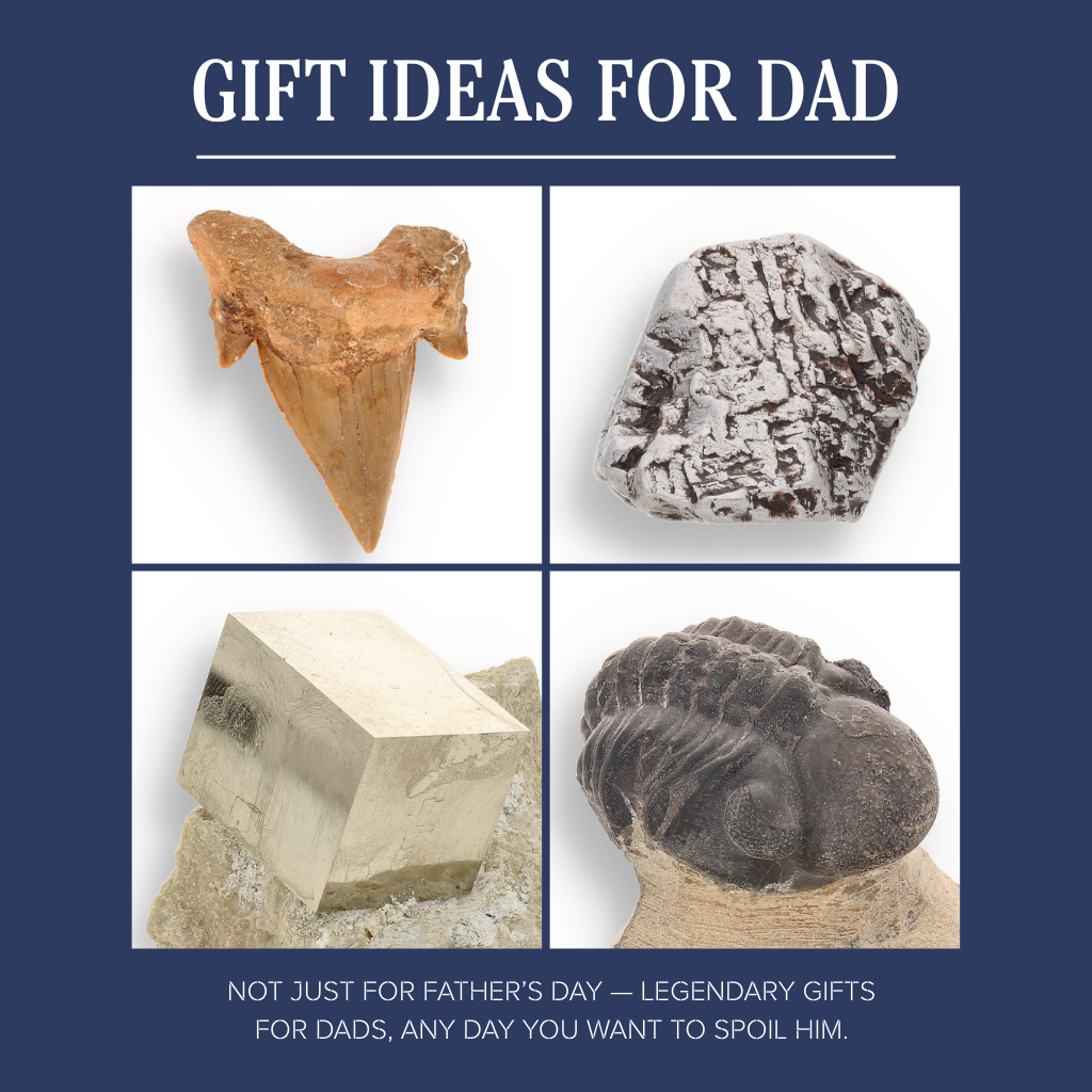 Extraordinary Gifts for Extraordinary Dads