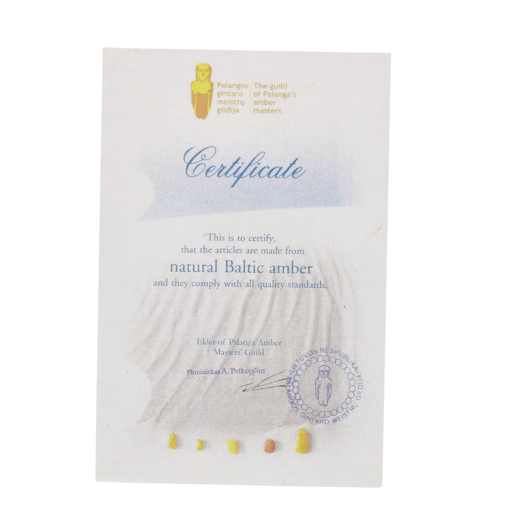 Get your Authentic Baltic Amber: Insect Frozen in Time online now or in store at Forever Gems in Franschhoek, South Africa