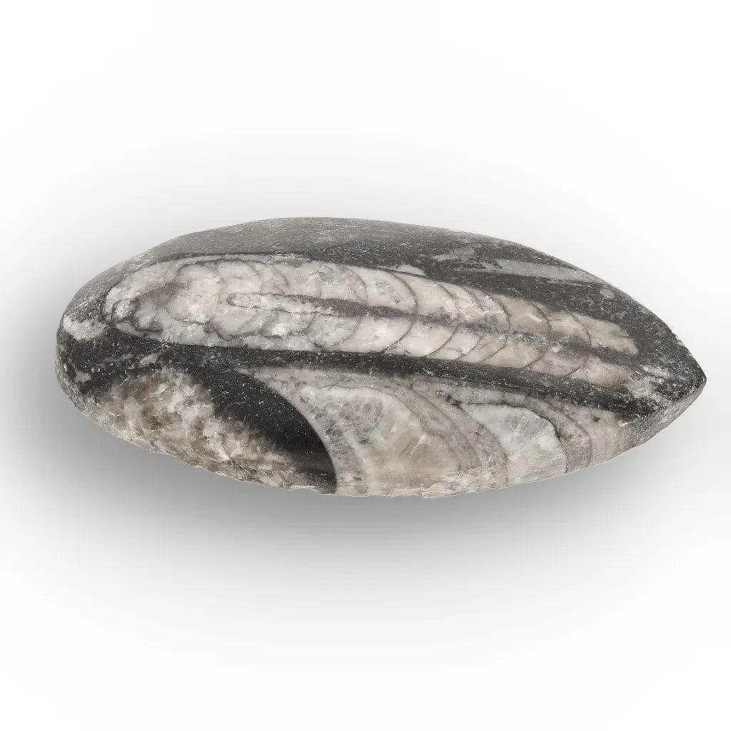 Get your Echoes of Deep Time online now or in store at Forever Gems in Franschhoek, South Africa