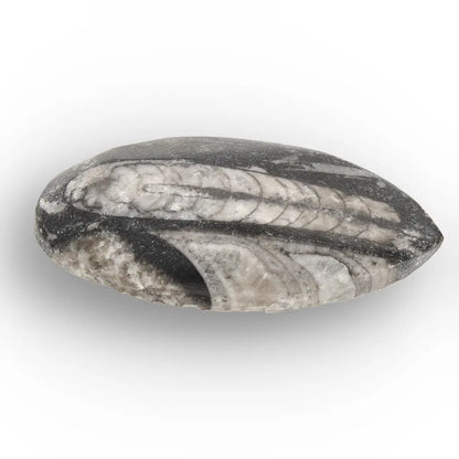 Get your Echoes of Deep Time online now or in store at Forever Gems in Franschhoek, South Africa