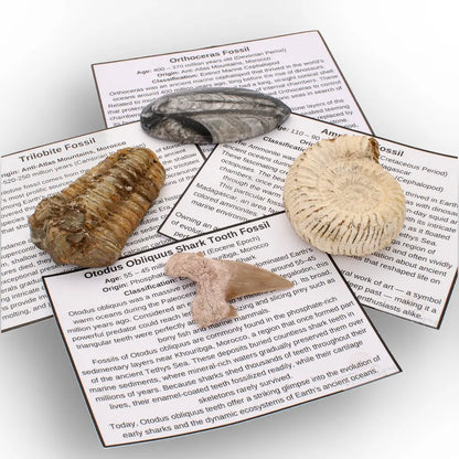 Get your Echoes of Deep Time online now or in store at Forever Gems in Franschhoek, South Africa