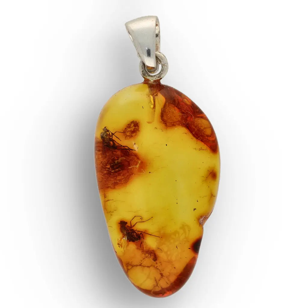 Get your Baltic Amber Insect Necklace in Sterling Silver – Ancient Life online now or in store at Forever Gems in Franschhoek, South Africa