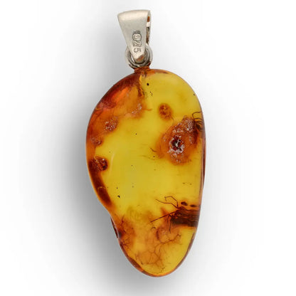 Get your Baltic Amber Insect Necklace in Sterling Silver – Ancient Life online now or in store at Forever Gems in Franschhoek, South Africa