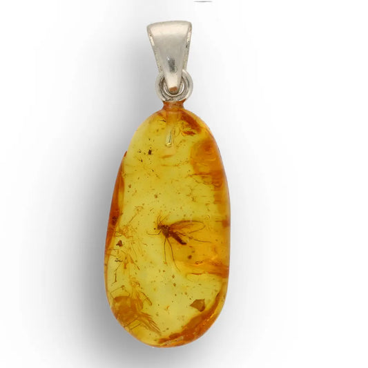 Get your Frozen in Time: Baltic Amber Insect Sterling Silver Necklace online now or in store at Forever Gems in Franschhoek, South Africa