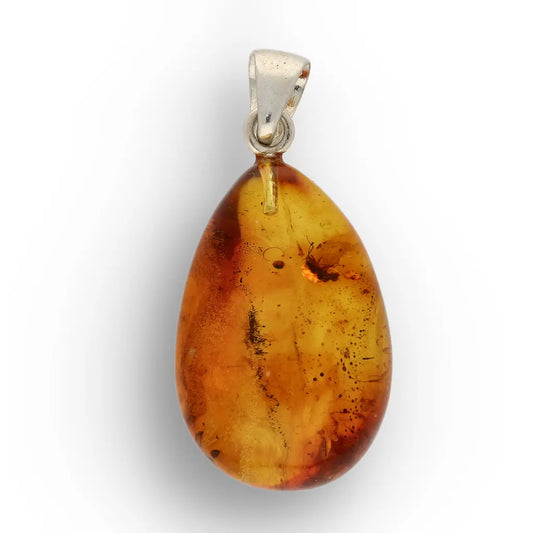 Get your Ancient Life Preserved – Baltic Amber Insect Silver Pendant online now or in store at Forever Gems in Franschhoek, South Africa