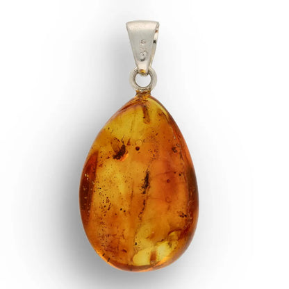 Get your Ancient Life Preserved – Baltic Amber Insect Silver Pendant online now or in store at Forever Gems in Franschhoek, South Africa