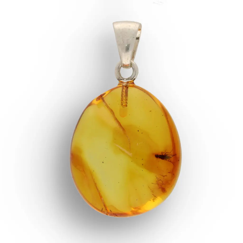 Get your Nature’s Timekeeper – Baltic Amber Insect Silver Necklace online now or in store at Forever Gems in Franschhoek, South Africa
