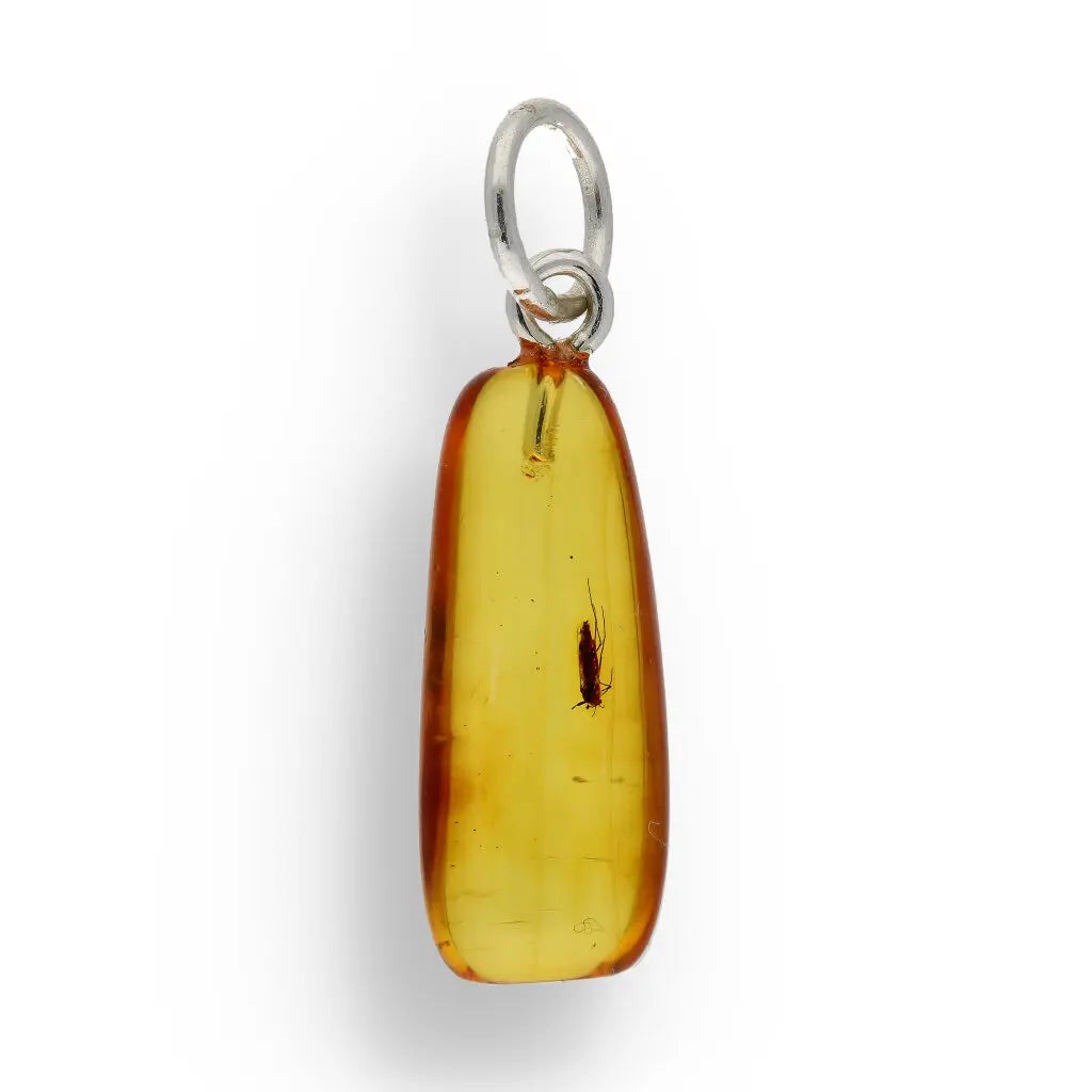 Get your Authentic Baltic Amber Pendant with Insect Inclusion - Silver Chain online now or in store at Forever Gems in Franschhoek, South Africa