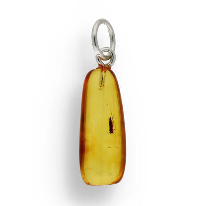 Get your Authentic Baltic Amber Pendant with Insect Inclusion - Silver Chain online now or in store at Forever Gems in Franschhoek, South Africa
