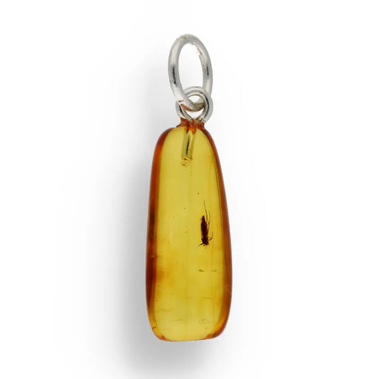 Get your Authentic Baltic Amber Pendant with Insect Inclusion - Silver Chain online now or in store at Forever Gems in Franschhoek, South Africa