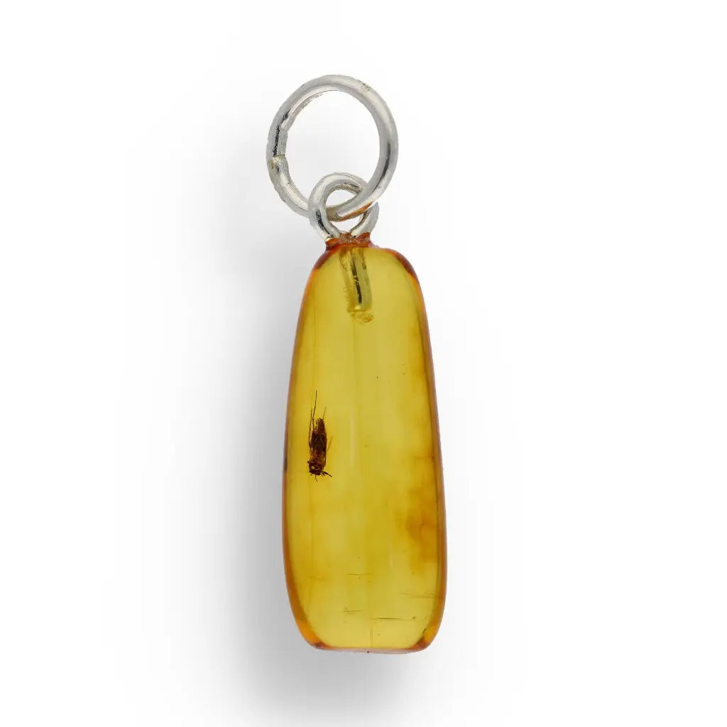 Get your Authentic Baltic Amber Pendant with Insect Inclusion - Silver Chain online now or in store at Forever Gems in Franschhoek, South Africa
