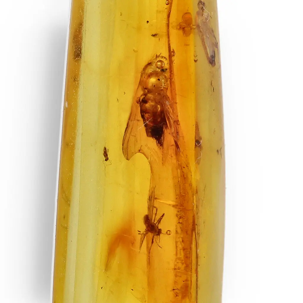 Get your Genuine Baltic Amber Necklace with Insects - Sterling Silver 45cm online now or in store at Forever Gems in Franschhoek, South Africa