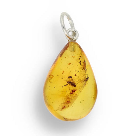 Get your Real Baltic Amber Teardrop Pendant - Prehistoric Insect Inclusions online now or in store at Forever Gems in Franschhoek, South Africa