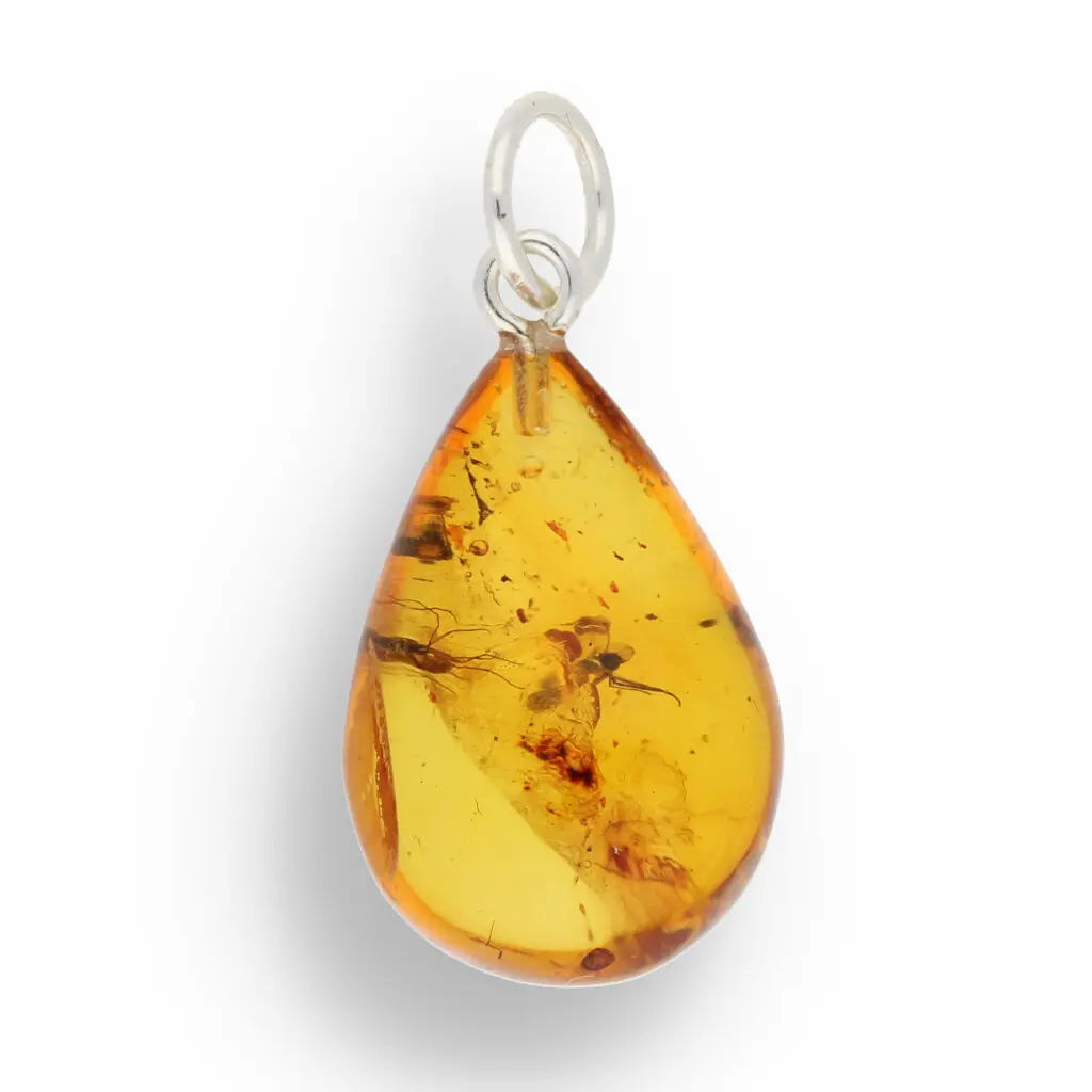 Get your Real Baltic Amber Teardrop Pendant - Prehistoric Insect Inclusions online now or in store at Forever Gems in Franschhoek, South Africa